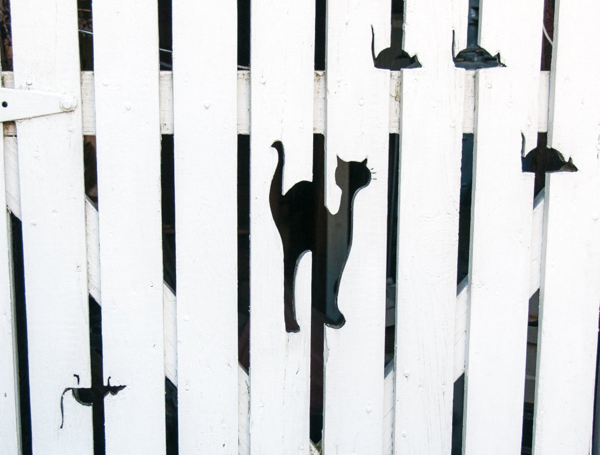 American_Walker tweet media