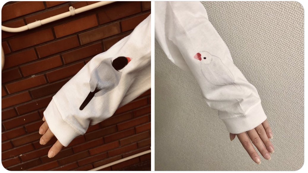 PET-BOX(小鳥と雑貨屋) tweet media