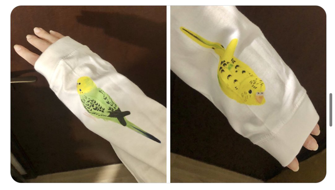 PET-BOX(小鳥と雑貨屋) tweet media