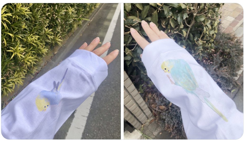 PET-BOX(小鳥と雑貨屋) tweet media