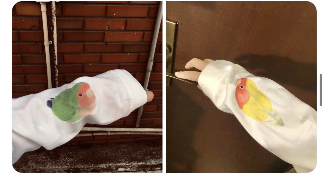 PET-BOX(小鳥と雑貨屋) tweet media