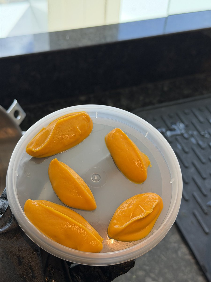 persimmon princess tweet media