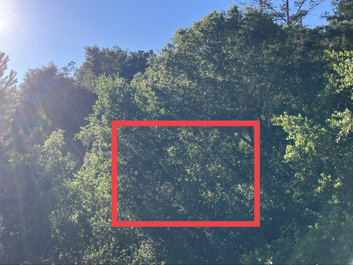 Matt Kramer 🧸 tweet media