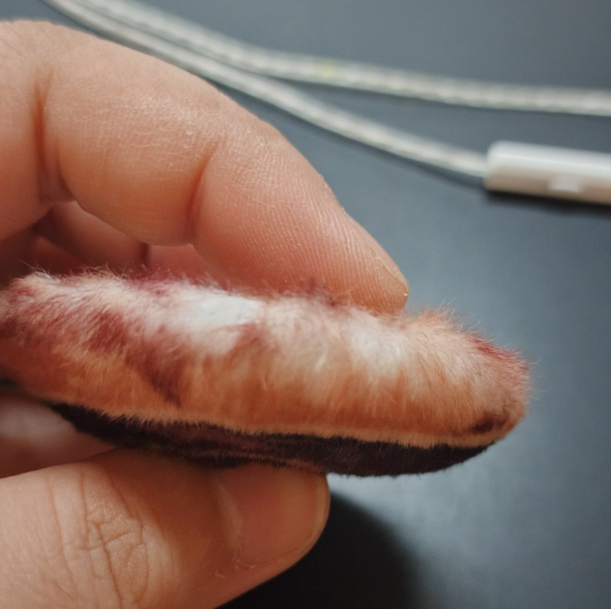 wrynegade | Cosplay Carnival FJ-03 tweet media