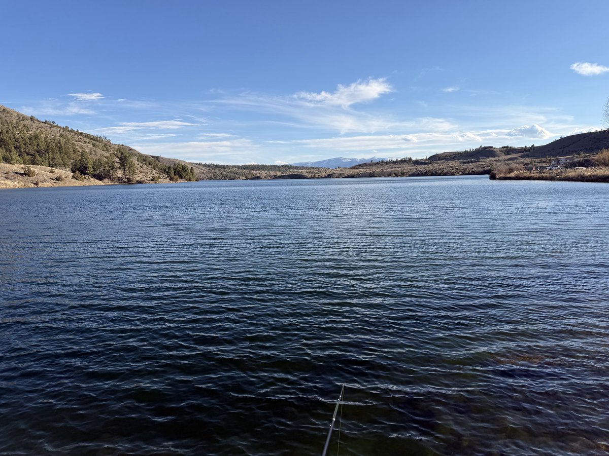 Daniel Shepard tweet media