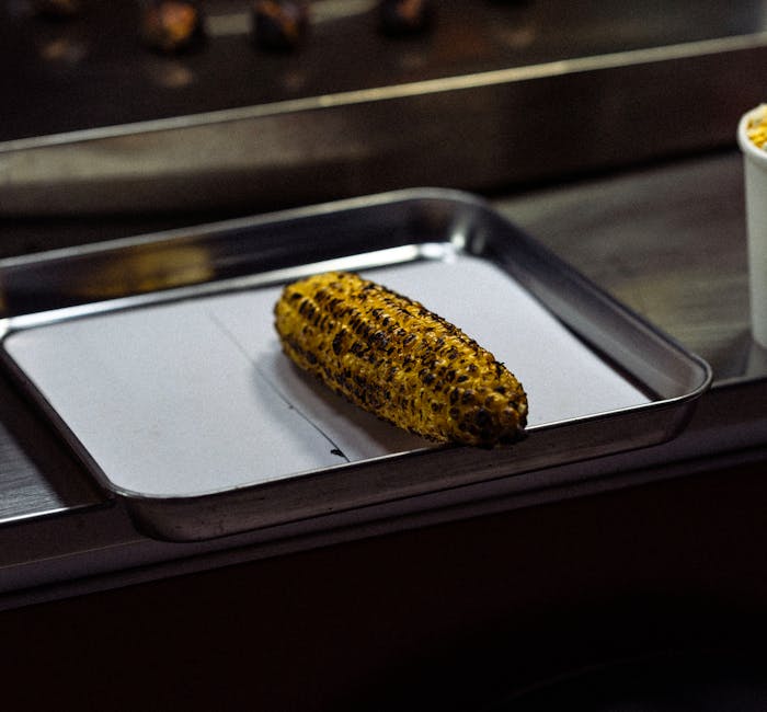 FarmerPier3815's tweet image. الحياة تصبح عندما يضيء الليالي أجمل الأيام ابتسامة. في كل thad rainie