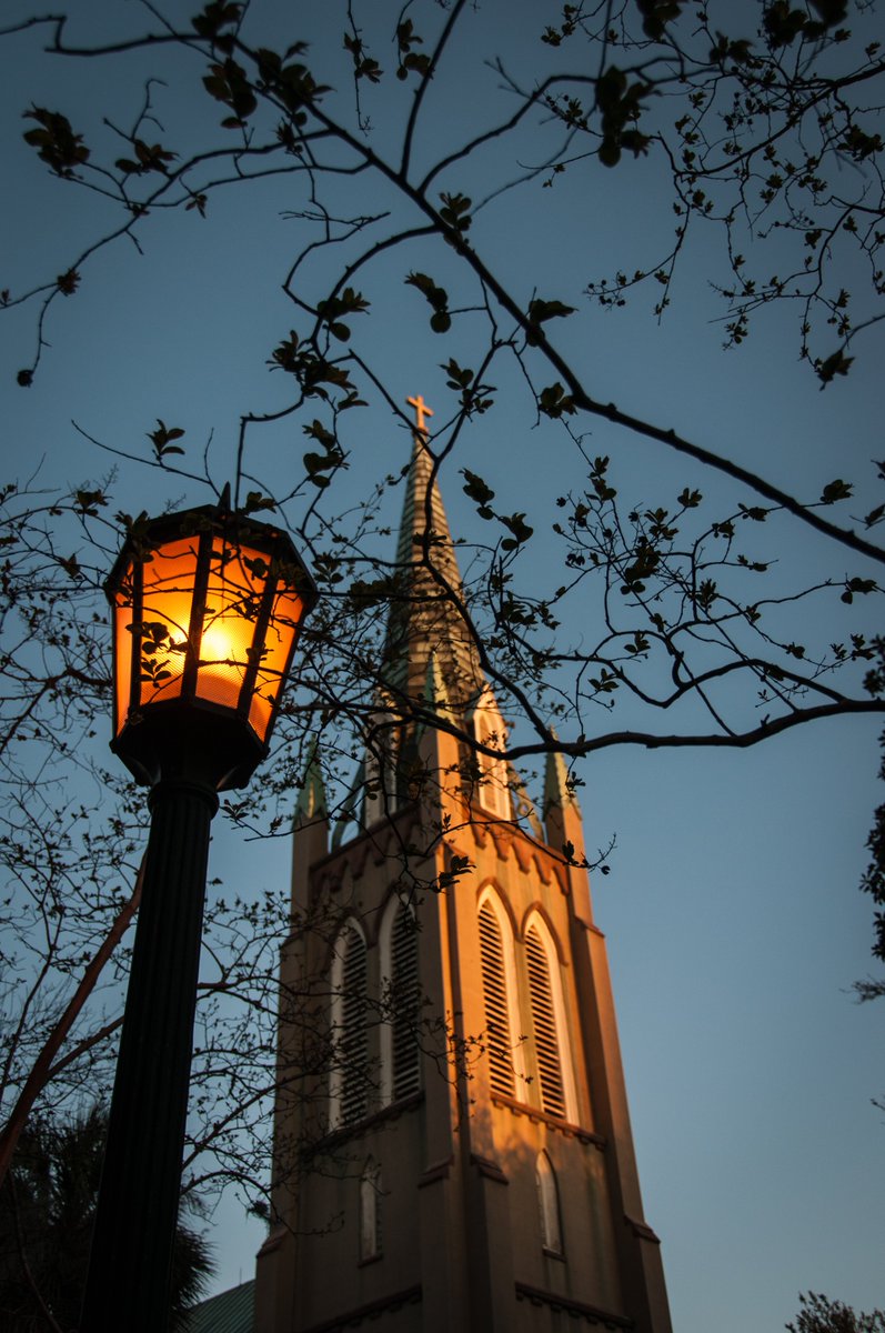 American_Walker tweet media