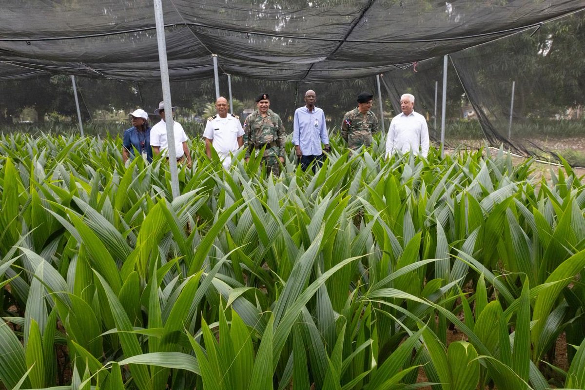 Ejército de República Dominicana tweet media