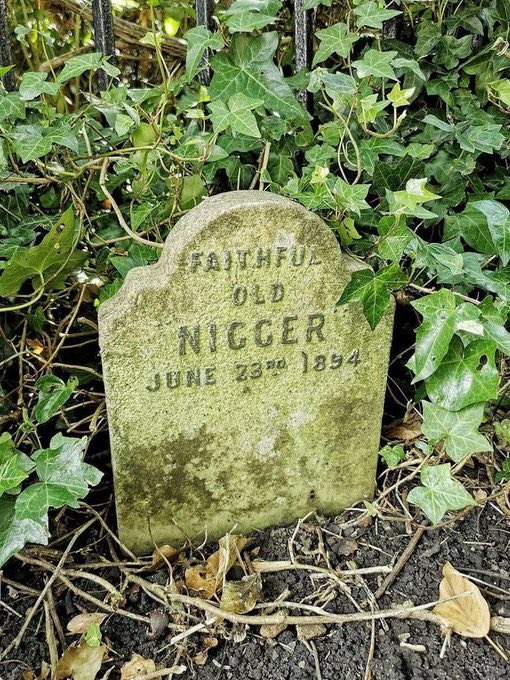 Afrologist 🔴⚫️🟢 tweet media