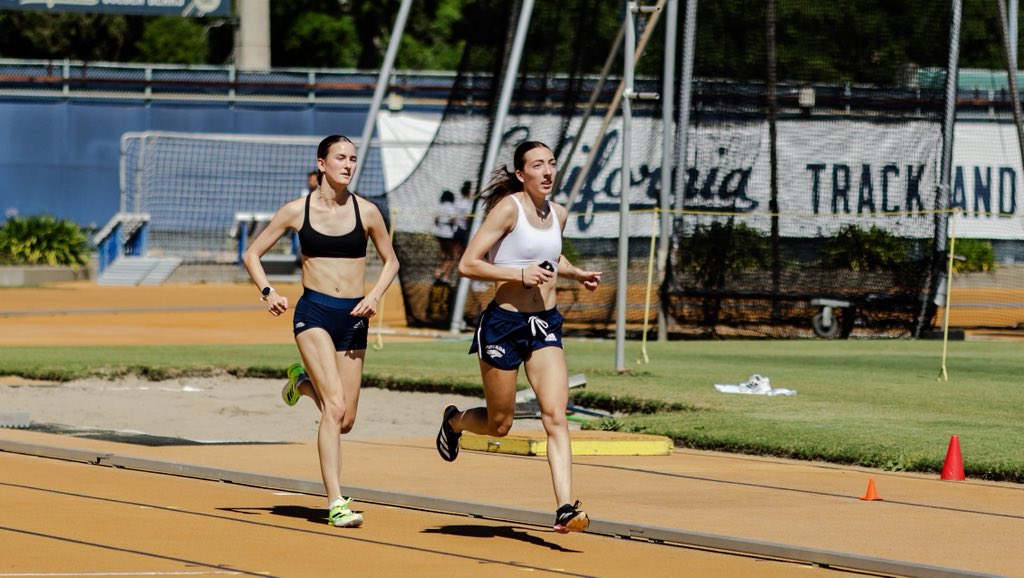 Wolf Pack Track/XC tweet media