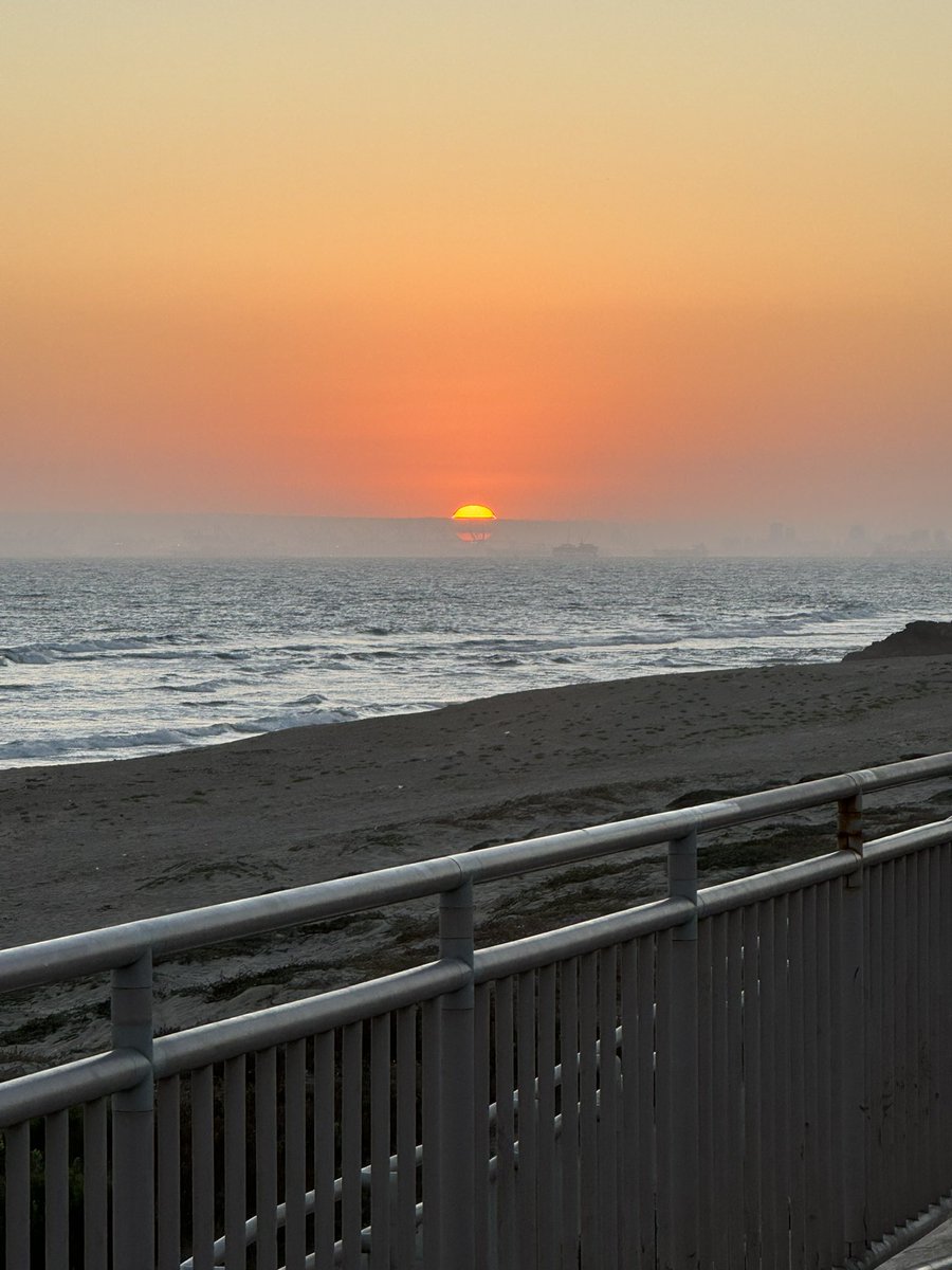 Theodore Bean 🛡️ tweet media