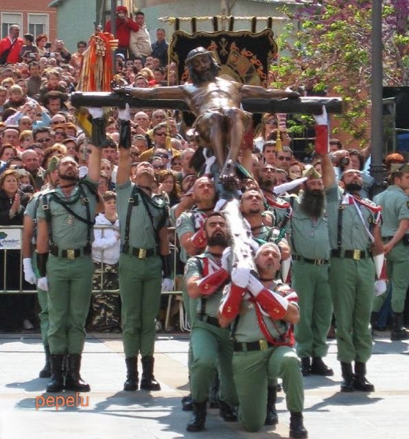 Tita De Lupo tweet media