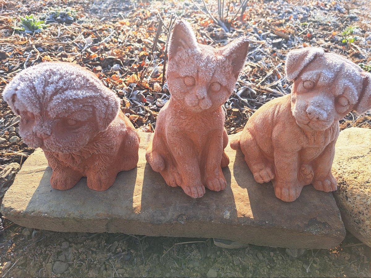 only2bory's tweet photo. 아직도 서리가 내린다. https://t.co/IlipD8f2pL