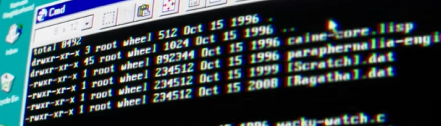 🍀Robin tweet media