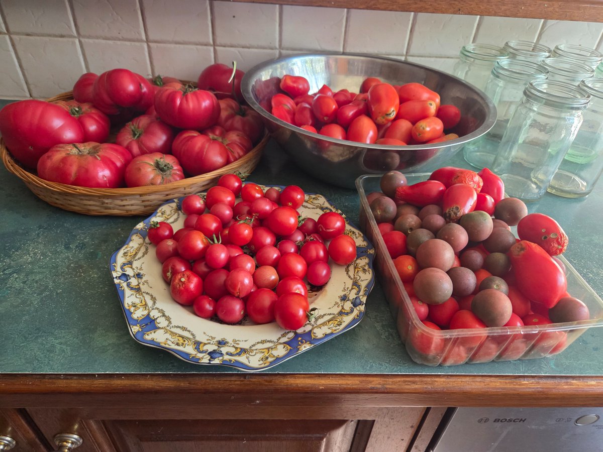 Mark Dee tweet media