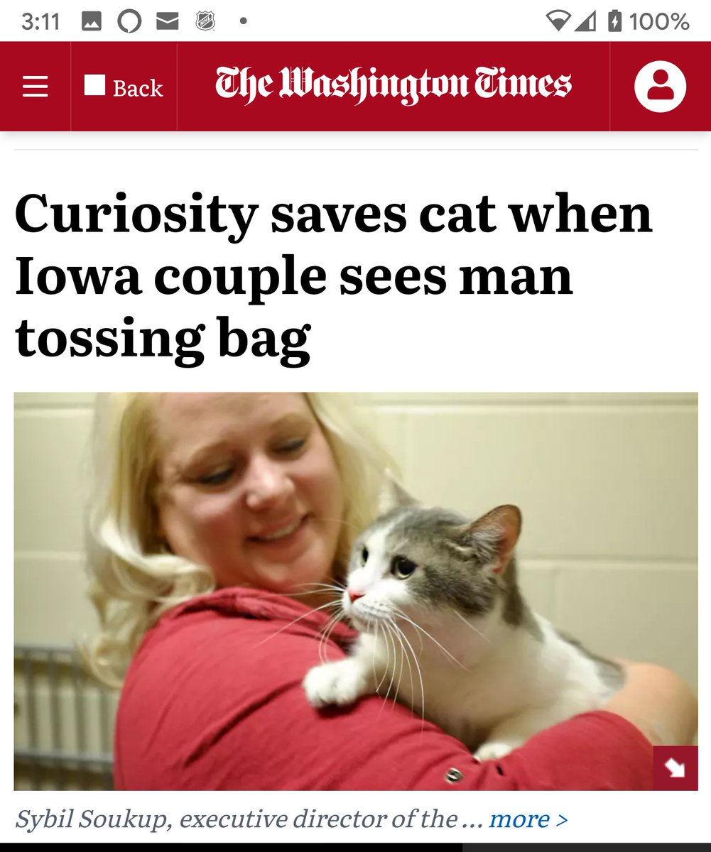 FeralCatFriend tweet media