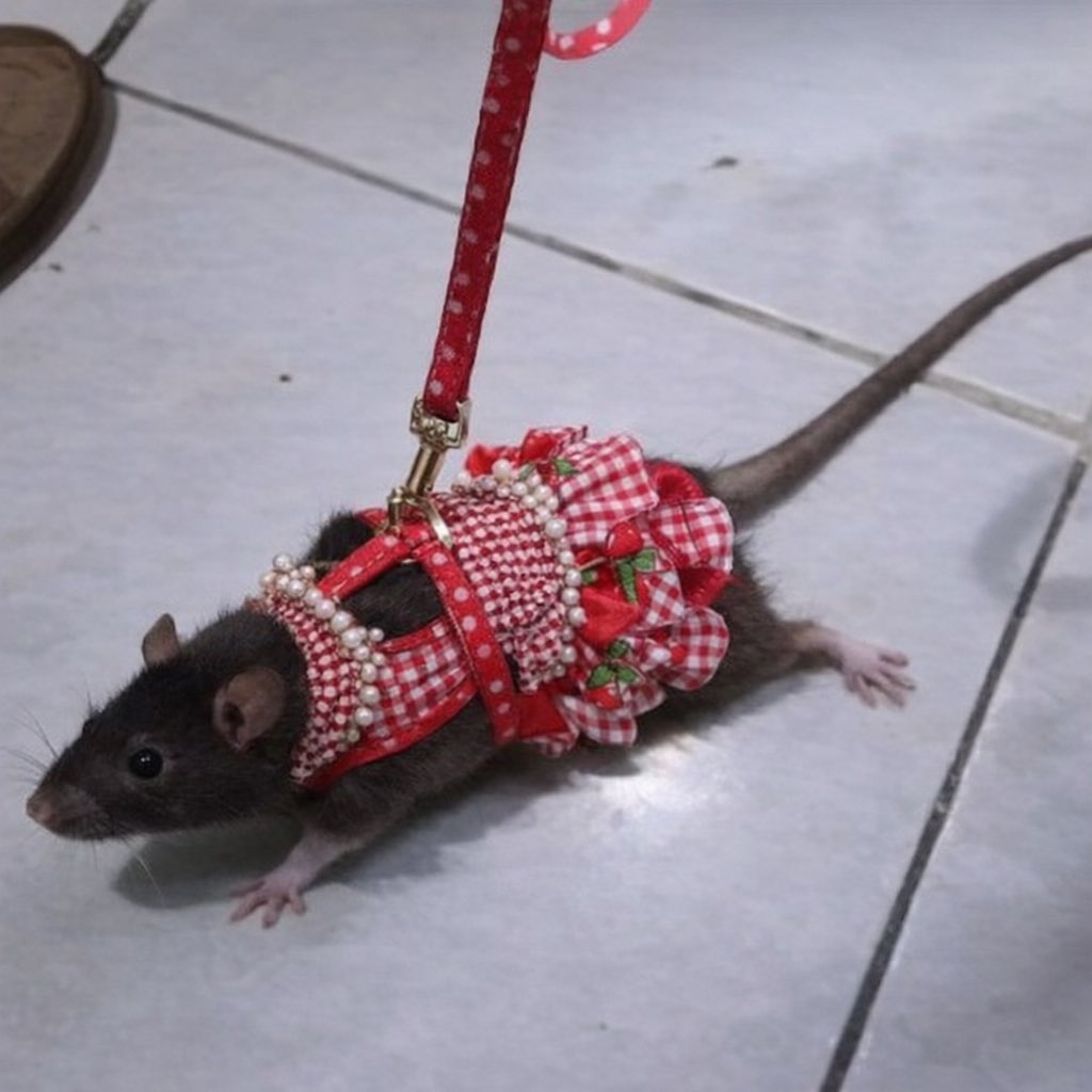 star renault🧙🏻♀️ tweet media