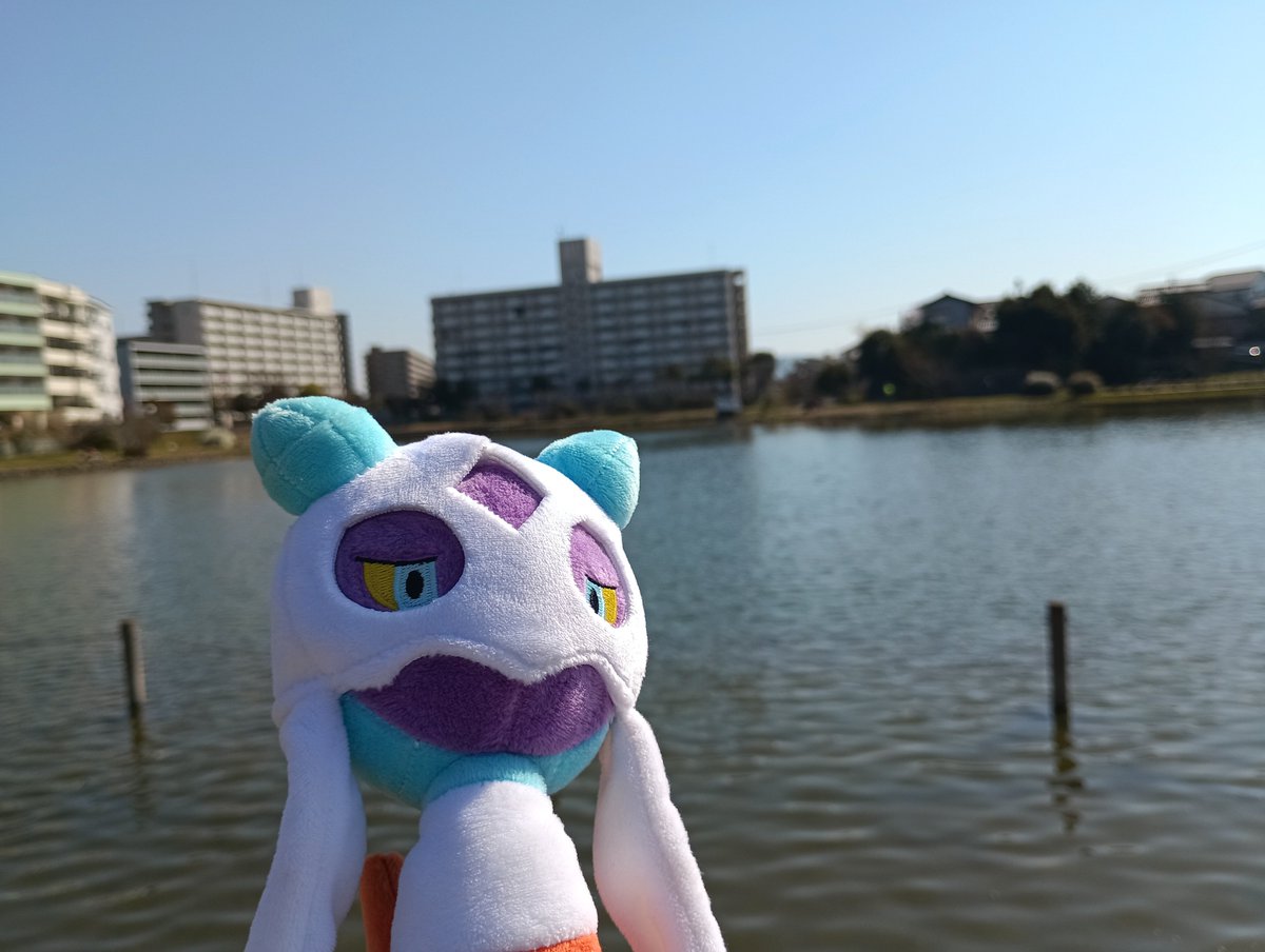 倍速ココア tweet media