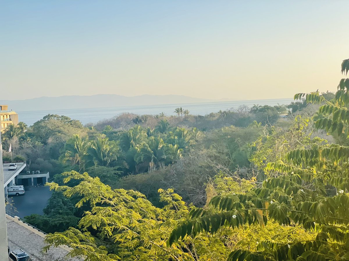 pete zeiman tweet media