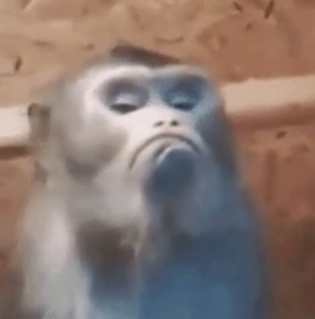 LUFFY 🇸🇦 tweet media