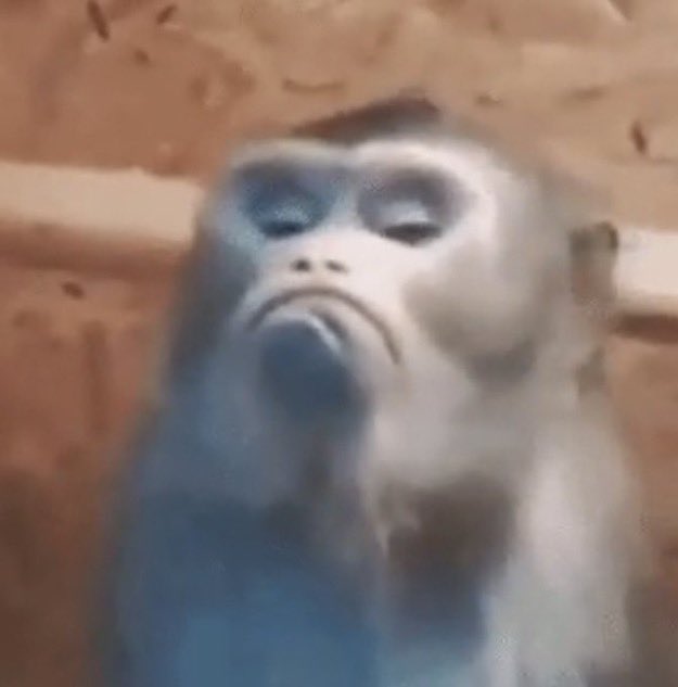 LUFFY 🇸🇦 tweet media