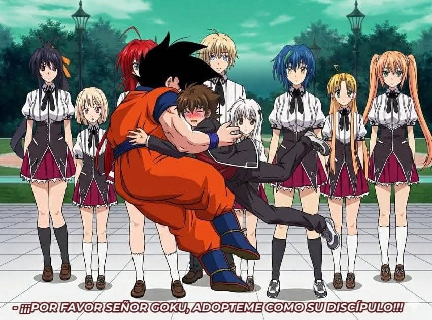 No se quién es el autor de esto, Pero legítimamente y desde el corazón, te lo agradezco y que tengas un espacio en el cielo amigo.

Finalmente, algo bueno de un Goku en dxd.

Nada de issei odiando a Goku, nada de ships pendejos como el de Goku x Rías, solo un fan con su idolo