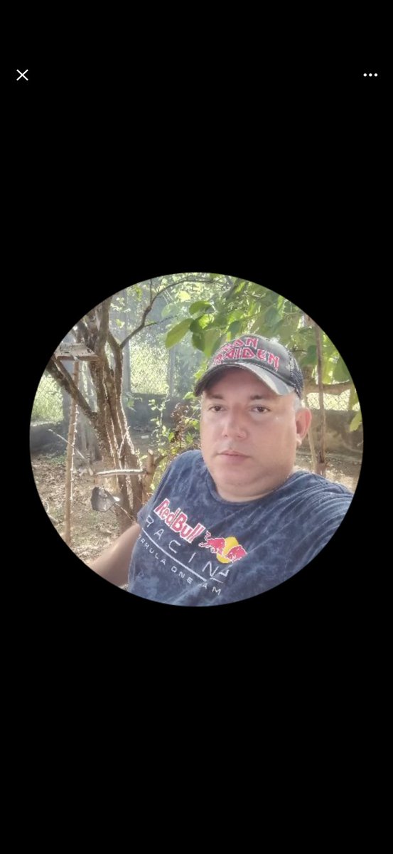 Luis Casis tweet media