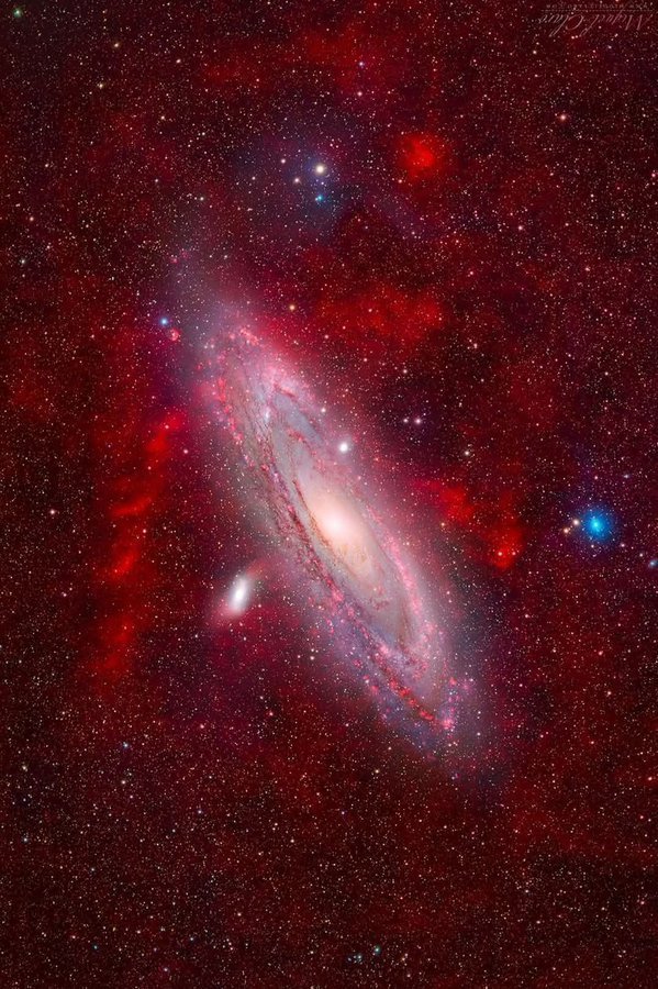 Black Hole tweet media