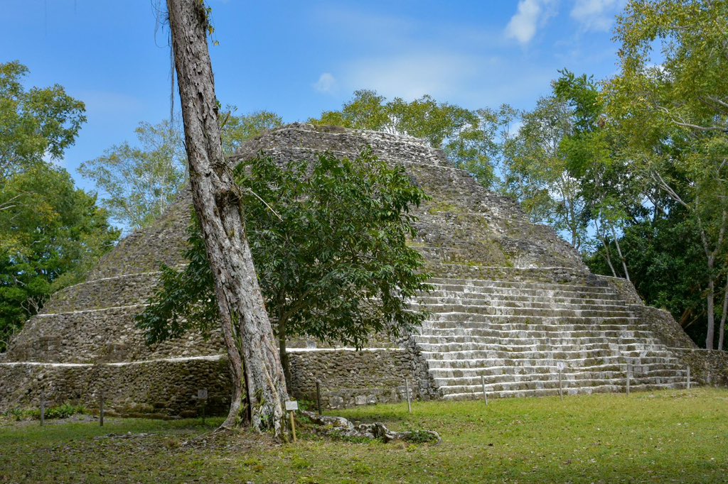 SEMARNAT México tweet media