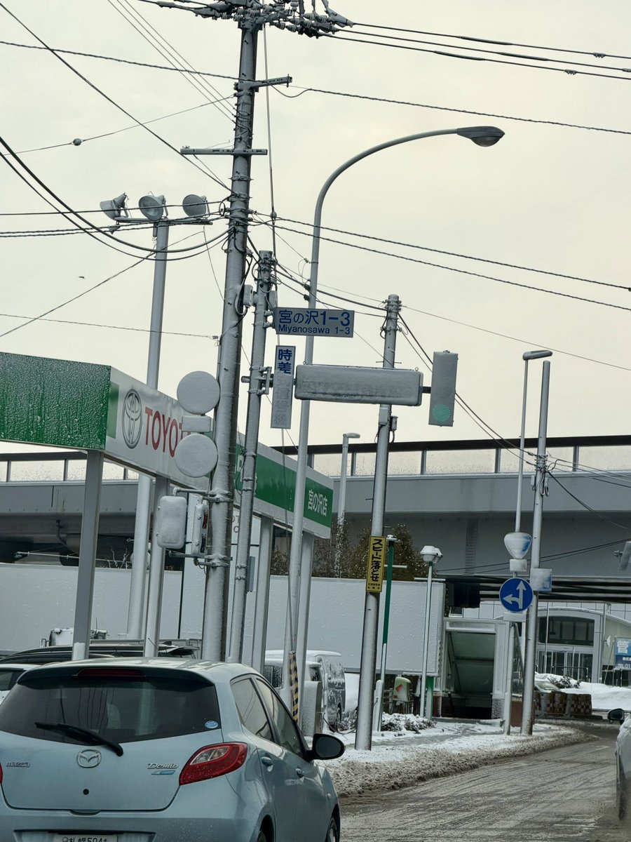 Hokkaido Dreamin'🇦🇺🇯🇵 tweet media