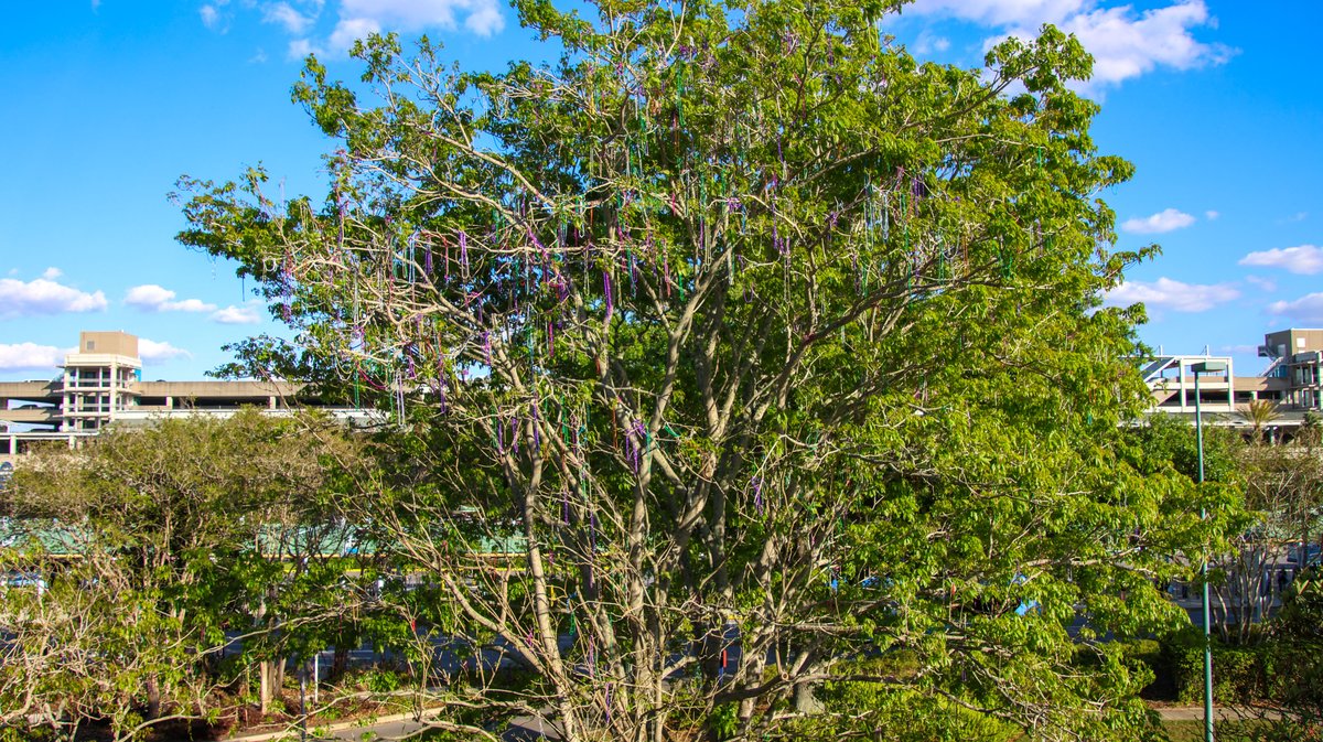 bioreconstruct tweet media