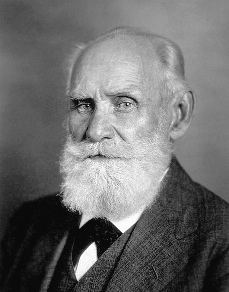 Danny Ragusa tweet media