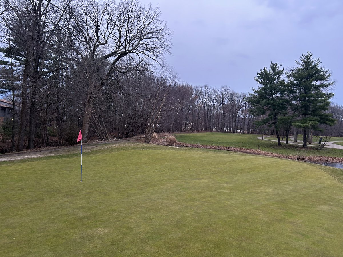 New York Golfer tweet media