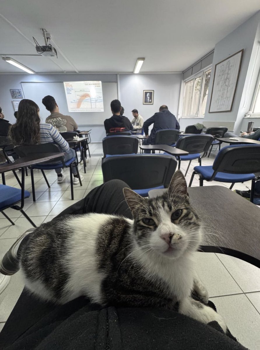 não sei por que ela faz essa aula… ela não entende nada