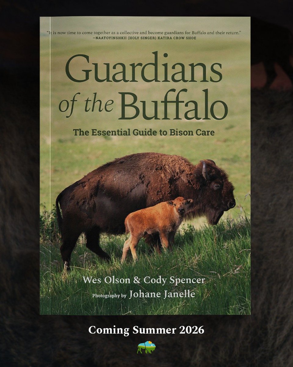 All About Bison tweet media