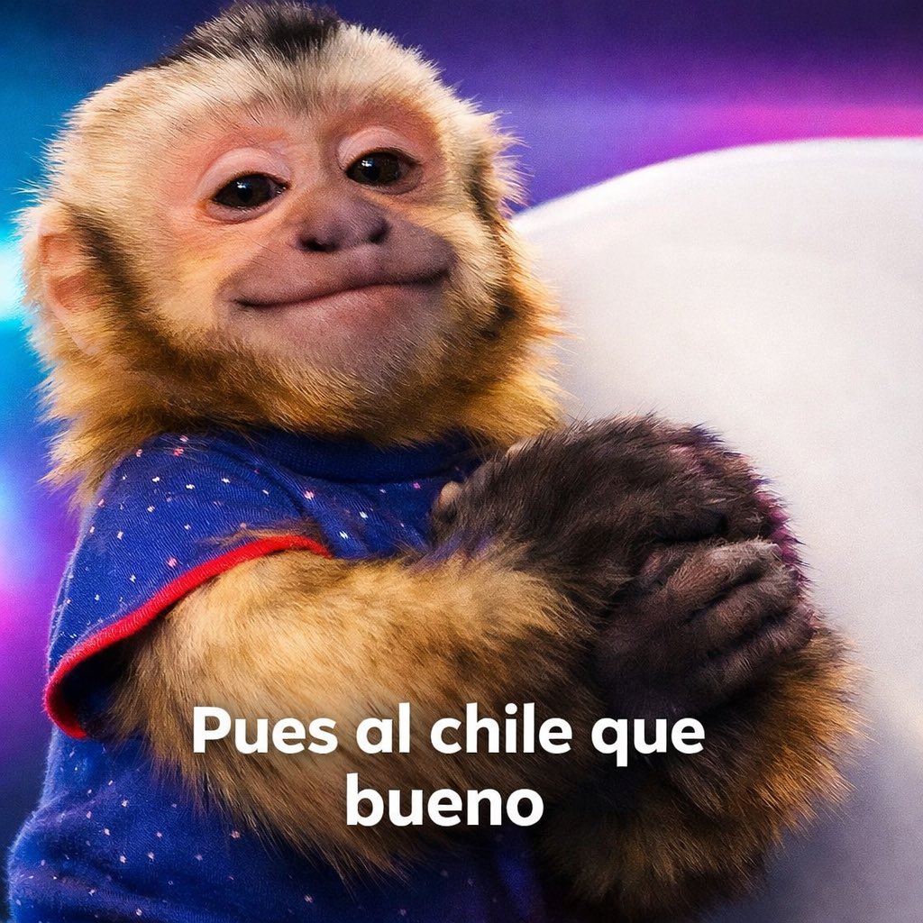 Mercedes🖤🍉 tweet media