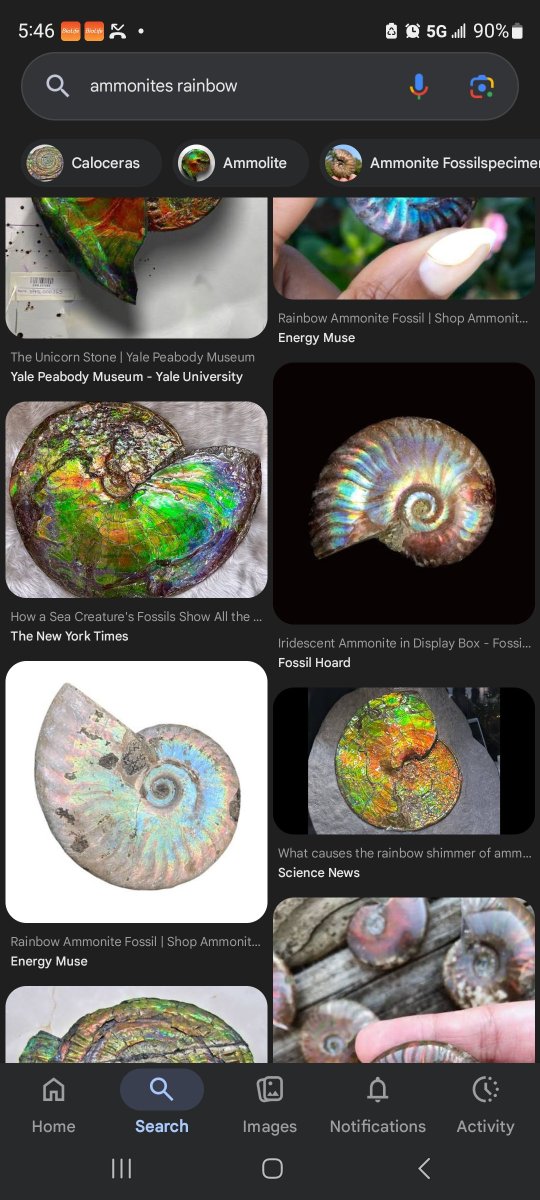 Peanut n Pretzel tweet media