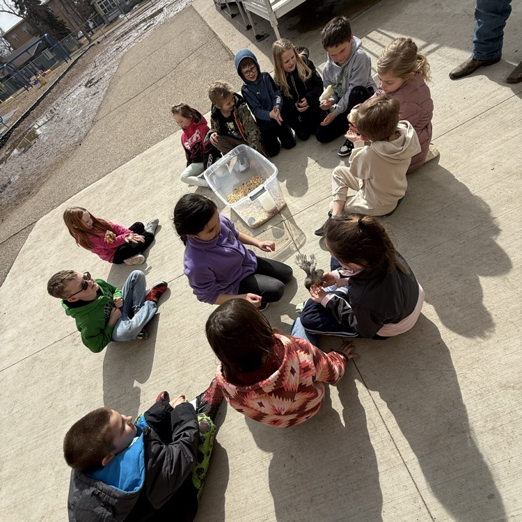 NRS Rockets tweet media