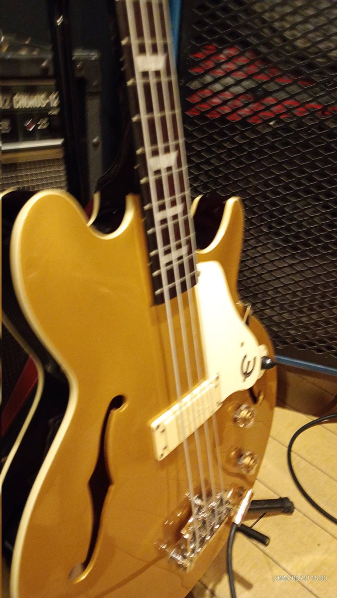 ヒデキ(Bass) tweet media