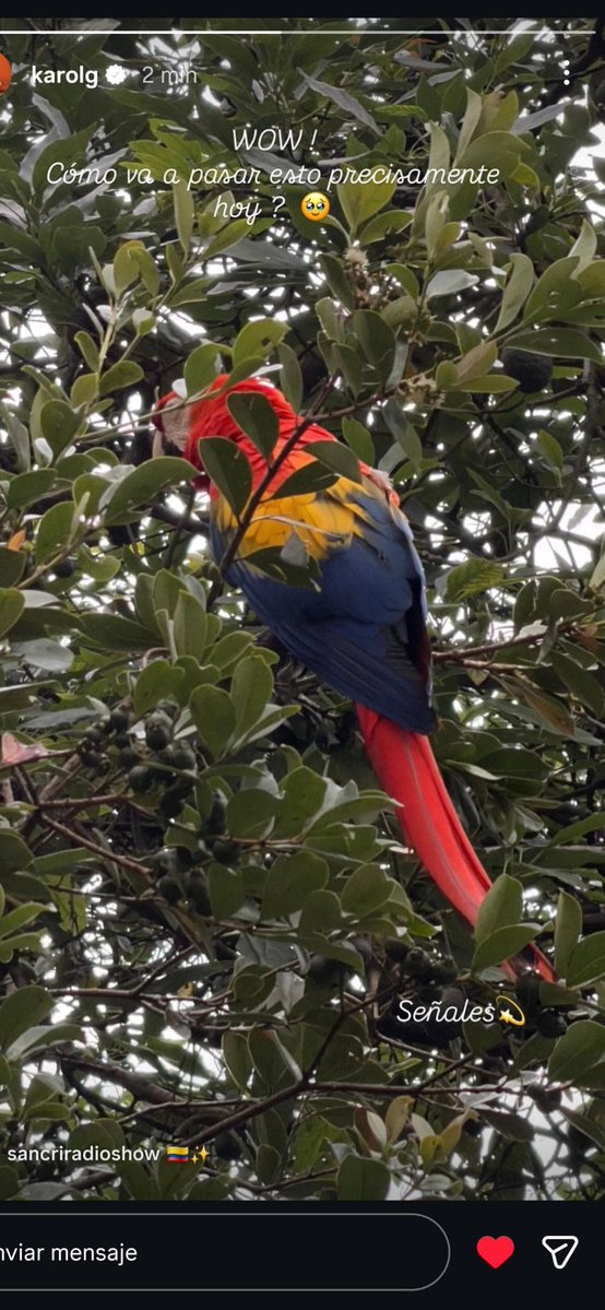 KAROL G ECUADOR 🇪🇨 tweet media