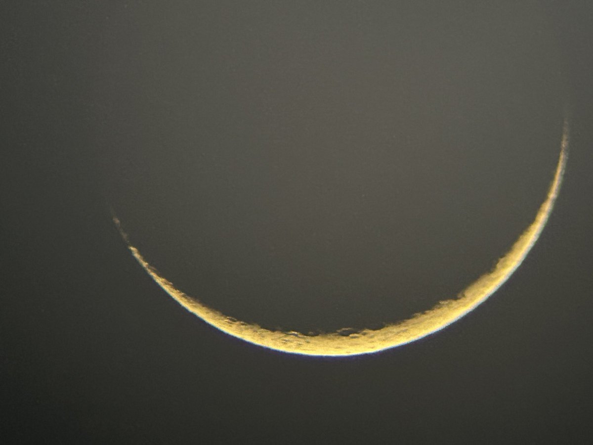 Brian Earls tweet media