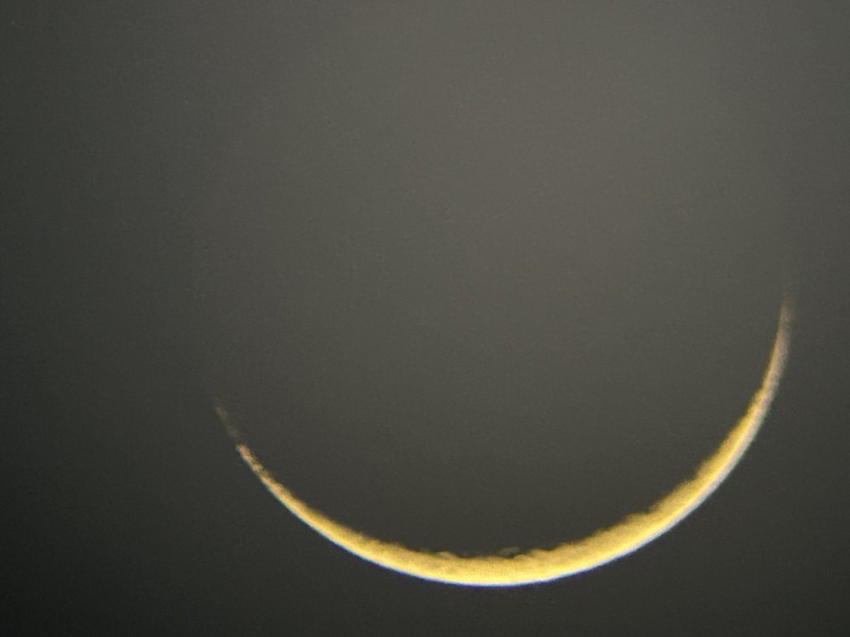 Brian Earls tweet media