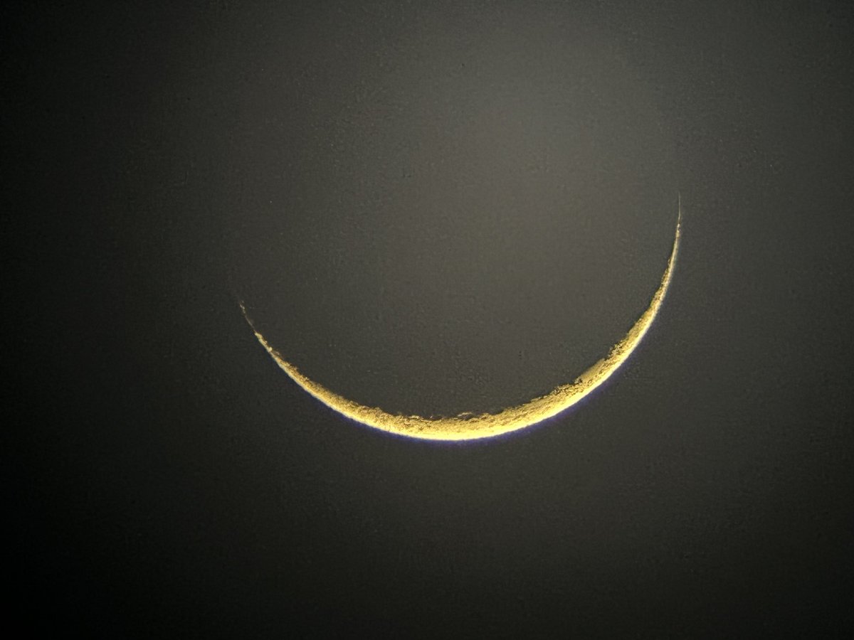 Brian Earls tweet media