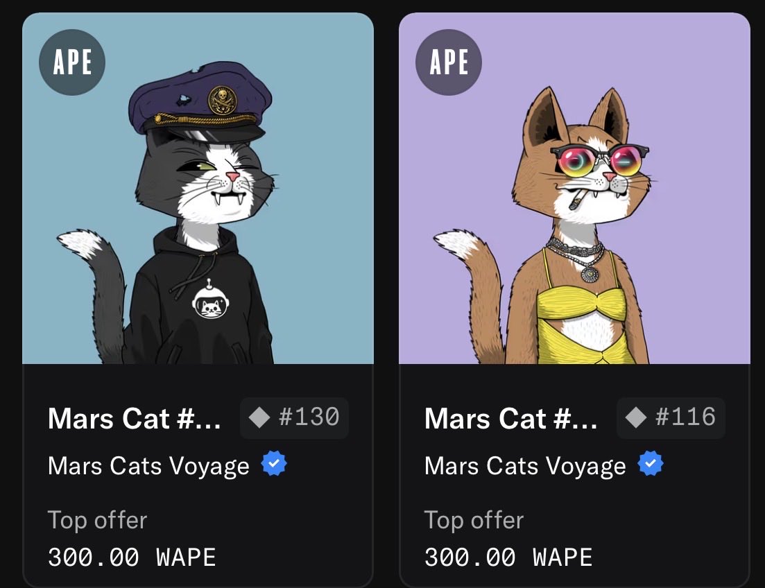 PromB 🐸🪐 tweet media