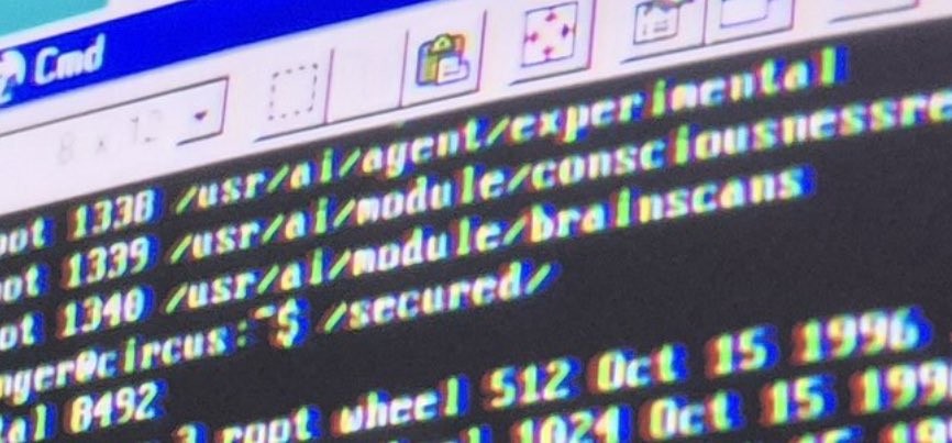 くコ:彡 tweet media