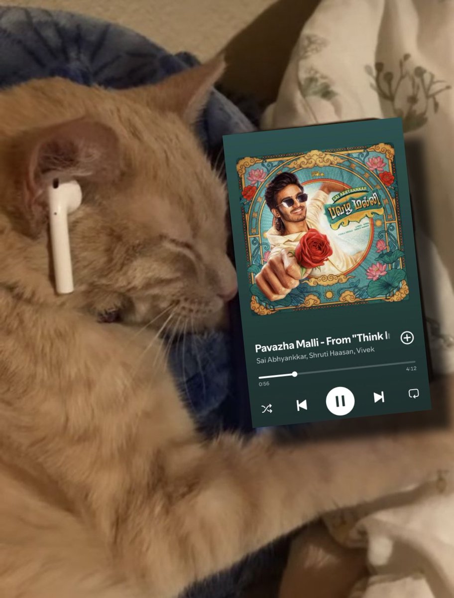 𝗦𝗮𝘁𝗼𝗿𝘂 𝗯𝗲𝗶𝗻𝗴 𝘂𝗻𝗵𝗶𝗻𝗴𝗲𝗱 tweet media