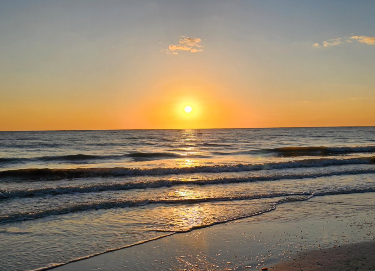 Kim Chee tweet media