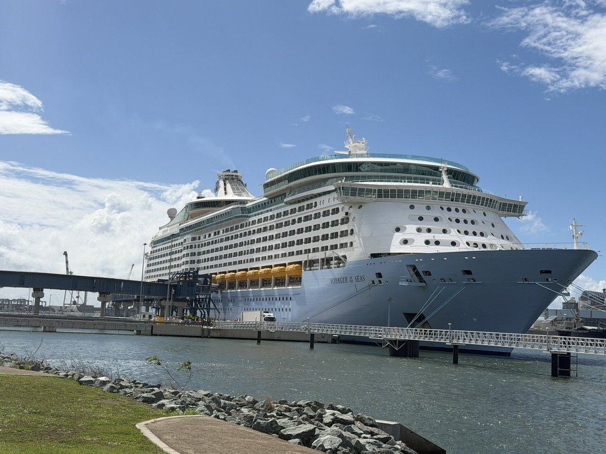 Miss Jelli 💫 tweet media