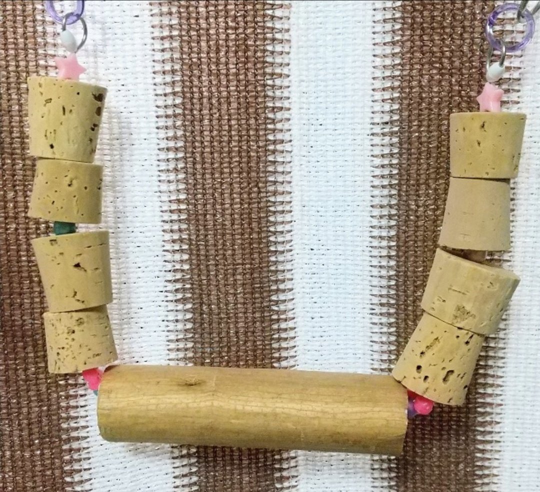 P&C LEON 小鳥専門店 tweet media