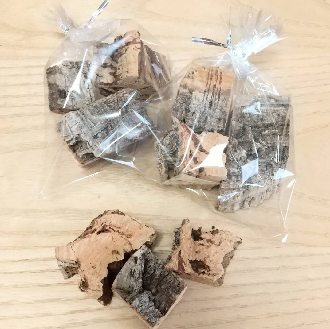 P&C LEON 小鳥専門店 tweet media